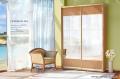 Шкаф-купе Премиум №3