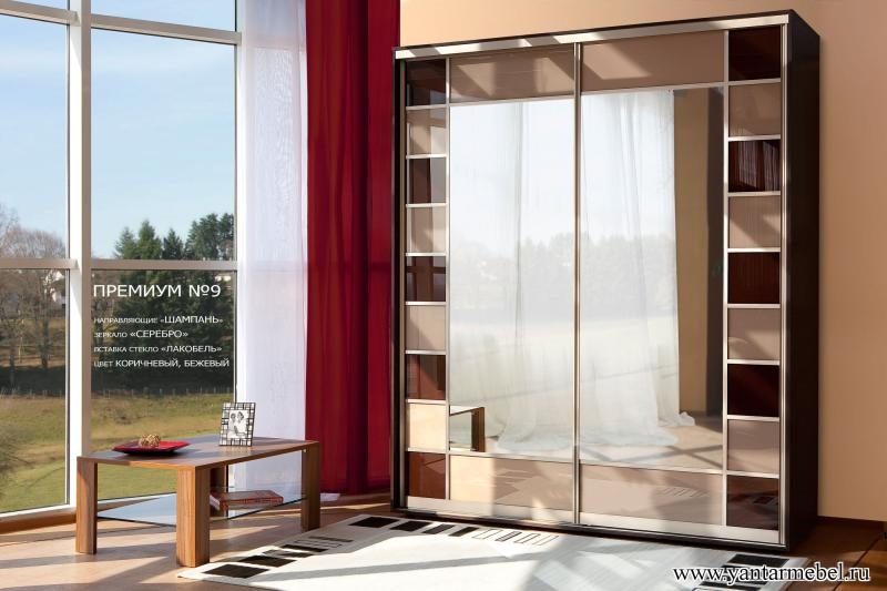 Шкаф купе ПРЕМИУМ №9,10 "Дуб кофейный"