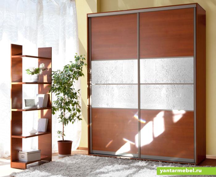 Шкаф купе ПРЕМИУМ №2