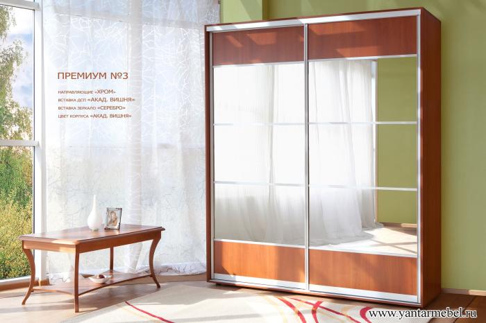Шкаф купе ПРЕМИУМ №3