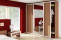 Шкаф-купе 450