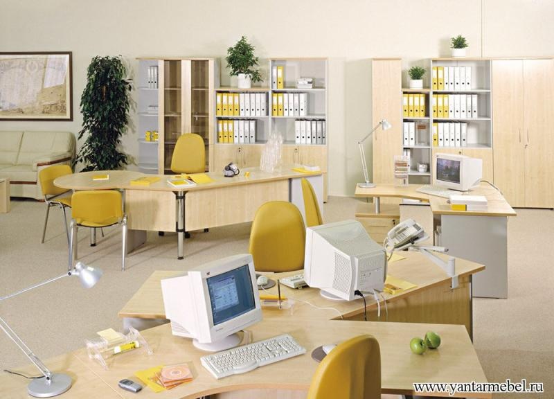 ФОРУМ (бук перламутровый)