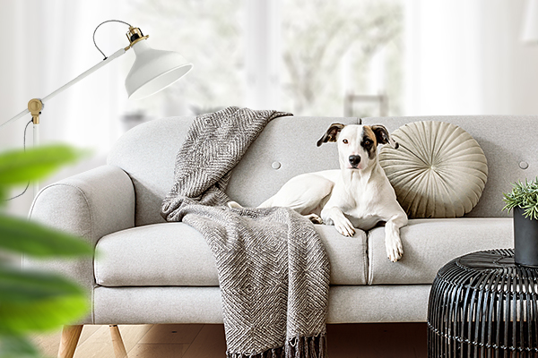 Как создать уют в гостиной без лишних затрат