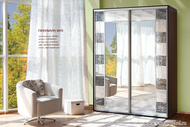 Шкаф купе ПРЕМИУМ №9,10 "Белый / черный"