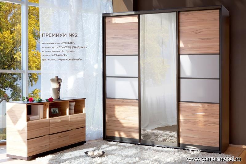Шкаф купе ПРЕМИУМ №2 "Дуб кофейный/шимо темный"