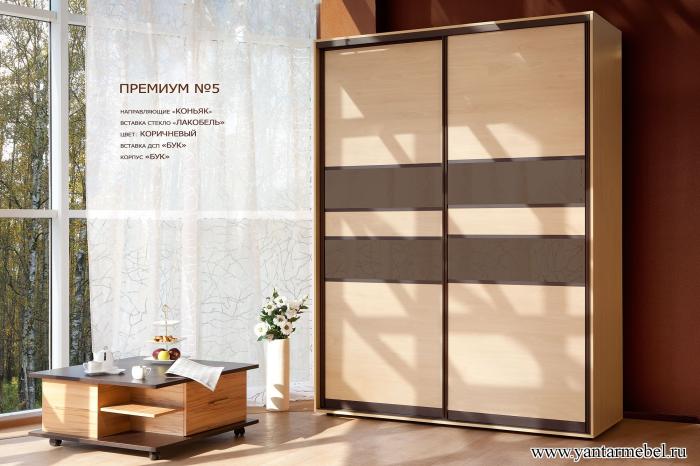 Шкаф купе ПРЕМИУМ №5 "Бук перламутровый"